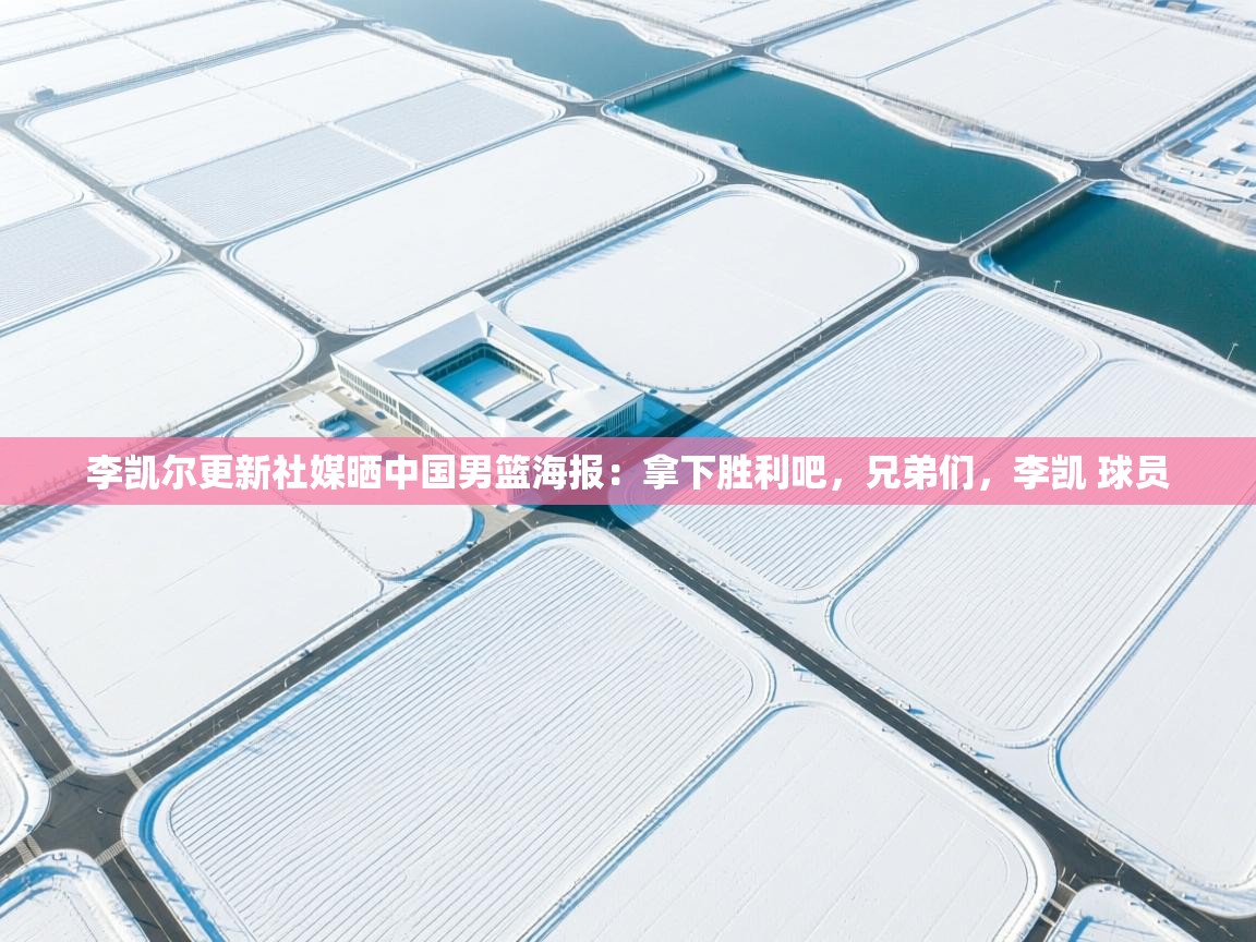 李凯尔更新社媒晒中国男篮海报:拿下胜利吧,兄弟们,李凯 球员 第2张