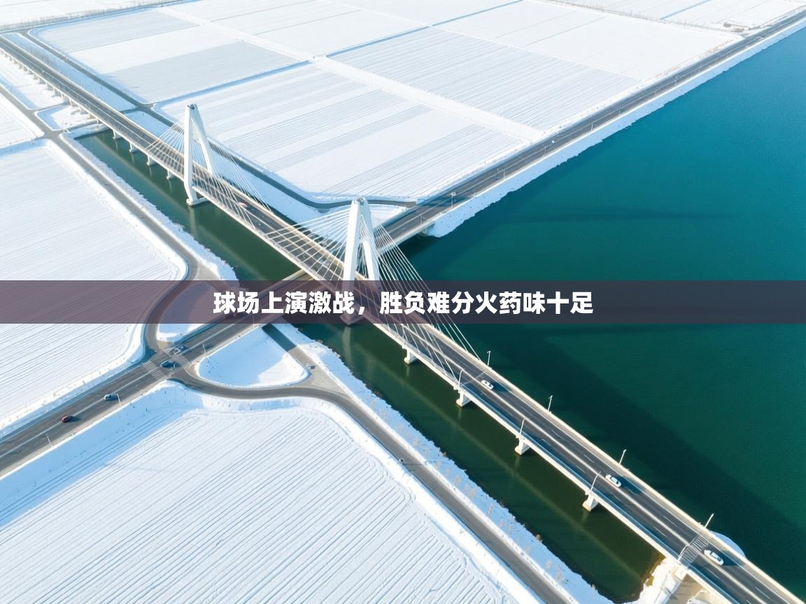 球场上演激战，胜负难分火药味十足  第2张