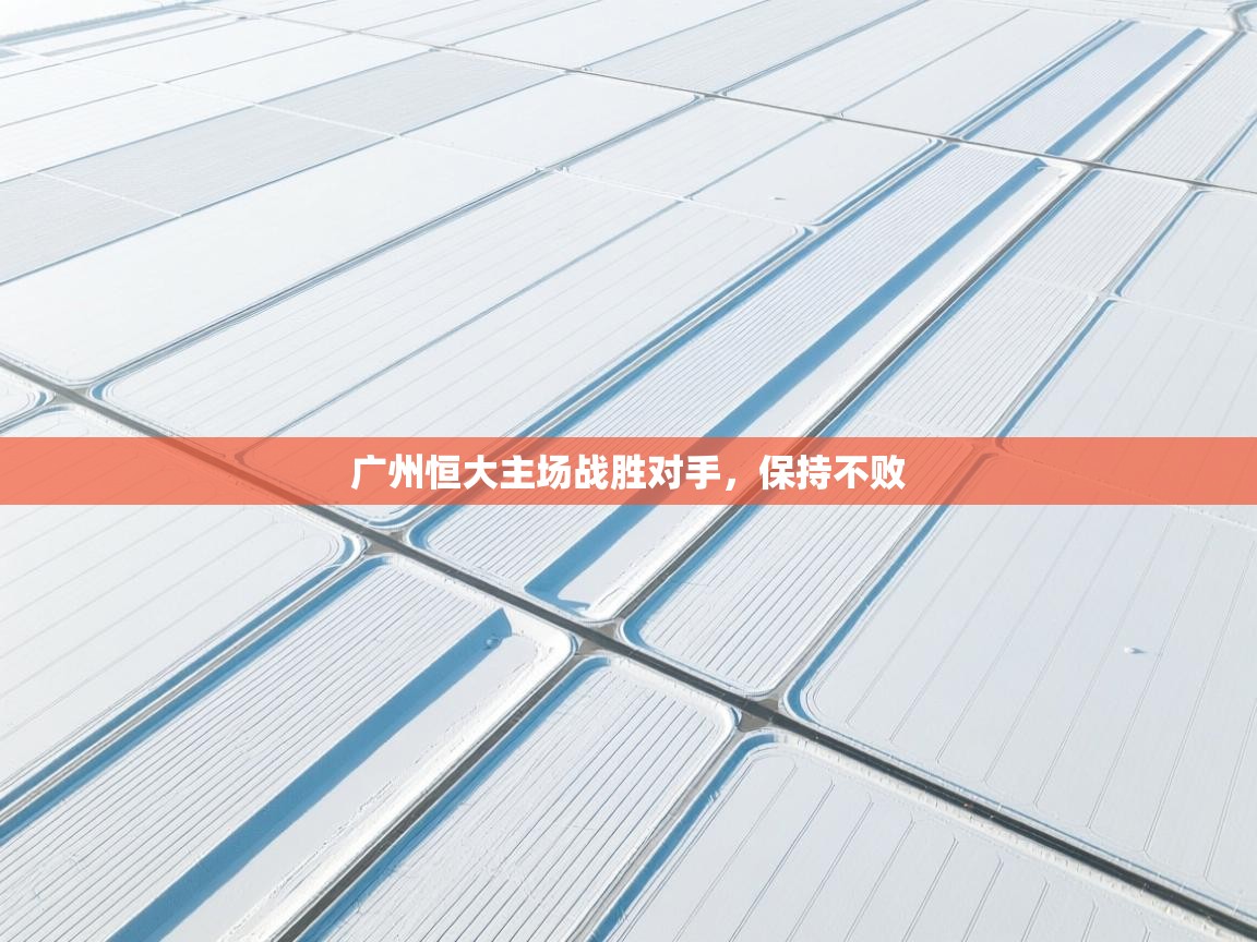 广州恒大主场战胜对手，保持不败  第1张