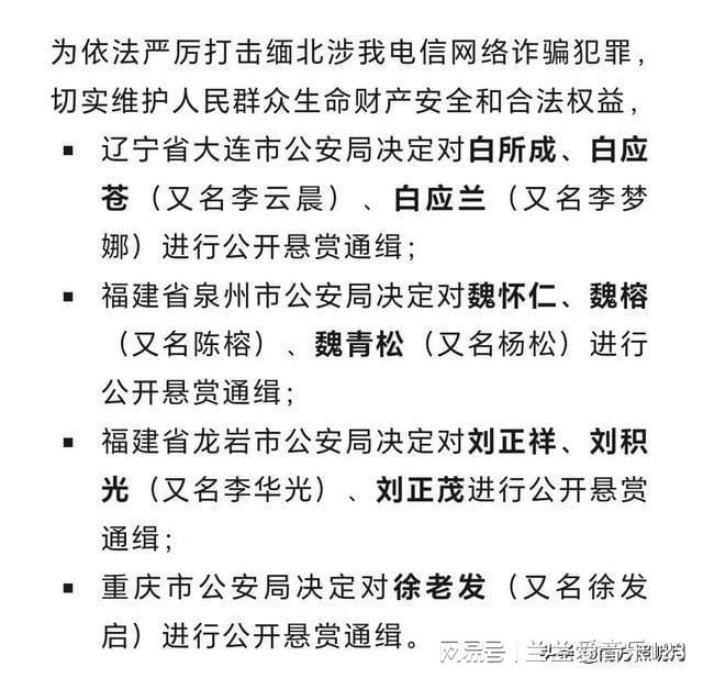 队员进攻应对果敢，赢得时机关键胜利